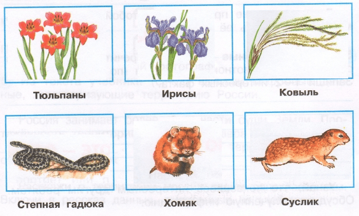 Решение рисунок 1